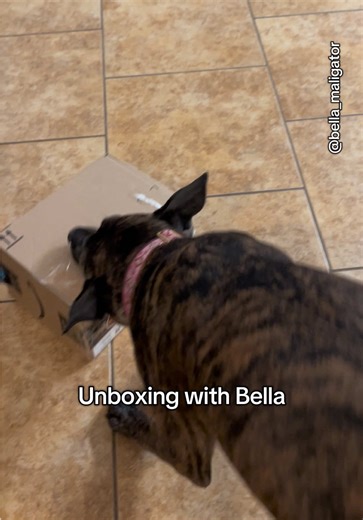 Unboxing Bella's Goody Box: A Fun Toy Adventure!