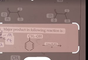 Major product in the following reaction is:Reaction:Benzene... | Filo