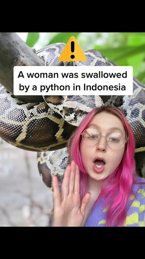 SCREENSHOT on TikTok