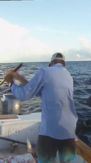 Tuna Flicking Challenge Gone Wrong