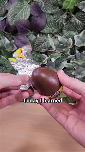 Japan's Chocolate Surprise Egg Delights for Food Lovers