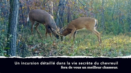 2.5K views · 31 reactions | Tu veux améliorer ta chasse. Tu veux sauver des $$ et vraiment préparer ta chasse avec une approche performante et sensée. Tu veux apprendre à prospecter efficacement Pour en savoir plus www.lanaturesauvage.com | Chasse Peche 2.0 | Facebook