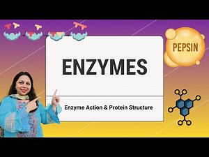Enzyme Action & Protein Structure Explained | Lock & Key vs Induced Fit | IGCSE, GCSE, IB Biology