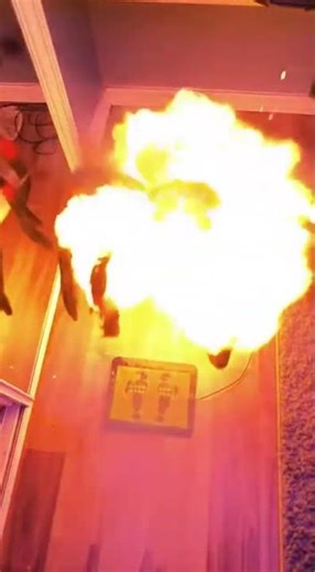 Sora Ai jumping spider exploding