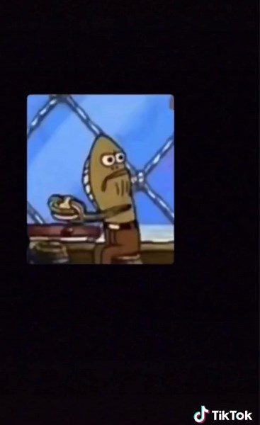 snap stickers on TikTok