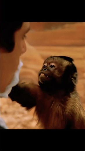 Monkey Menace 🤣 Best Dexter Moments In Night Of The Museum #shorts #dexter #movie #monkey