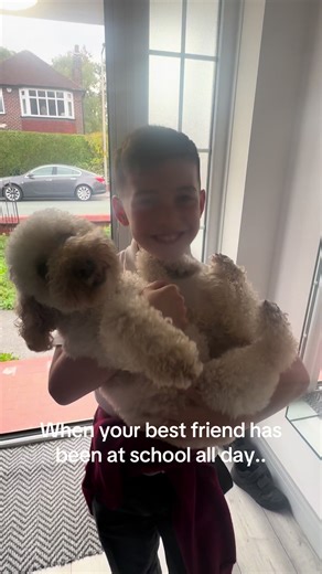 #dogs #puppy #cockapoo #bestfriend #fyp