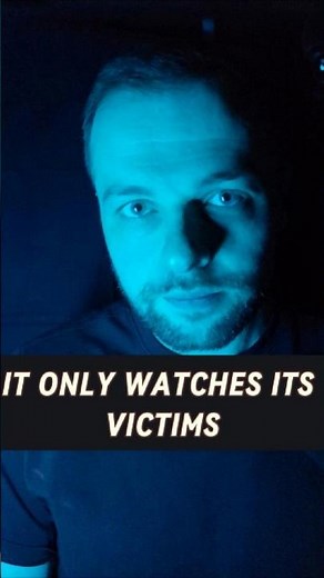 If You See These Eyes… Run | SCP-4205