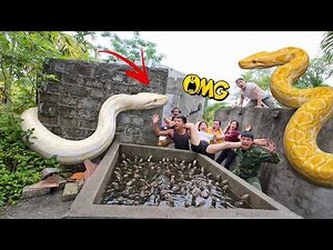 1-Hour Video: Brave Soldiers Risk Their Lives to Rescue Ethnic Girl from Giant White Python