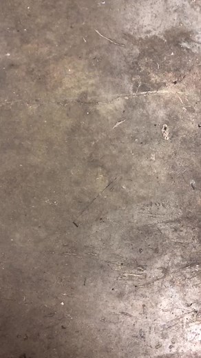 All coming together very nicely🥰 #SpicySnap #evo #boost #evo8 #foryou #fyp #SavingsShuffle #makemefamous