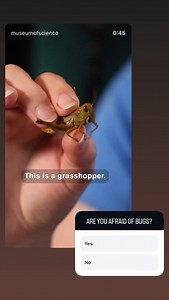 Museum of Science, Boston on Reels