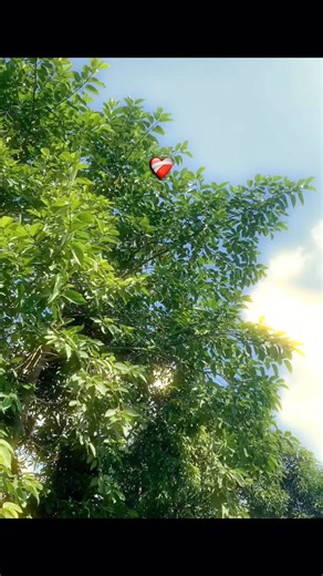 399K views · 90K reactions | Line… @alone_lyrics_58 | Alonelyrics58 | Facebook