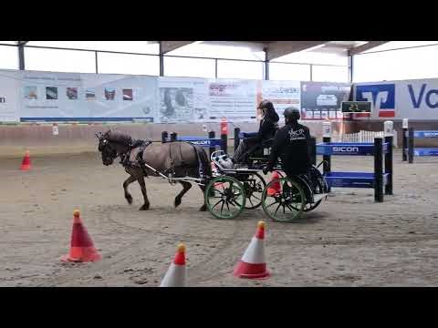 Fahrturnier Gronau Epe 22.3.2026 (Sicon Cup)