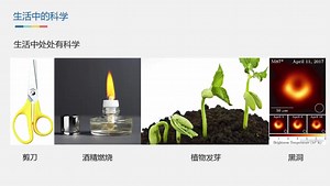 科学教育课-二年级