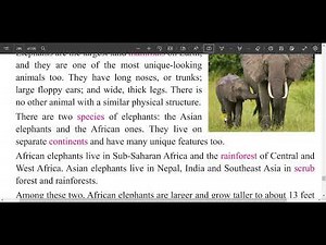 class 7 English unit 19/grade 7 English unit 19