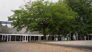 OP STAP MET DSP - EINDVOORSTELLING 2023 - SHOW 2