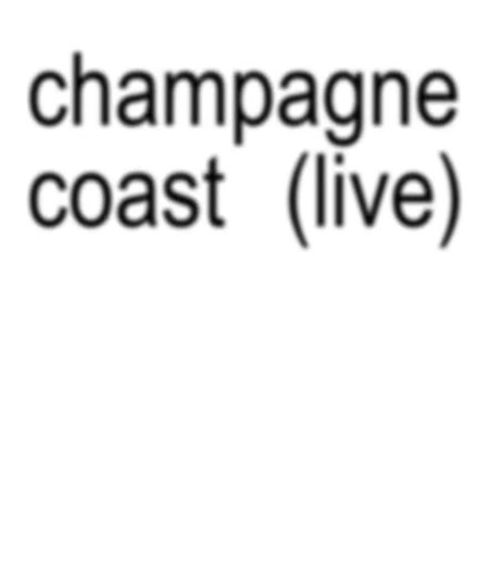 this song and my first wlw crush 💔 #wlw #lyrics #fyp #champagnecoast #bloodorange #music #foryou