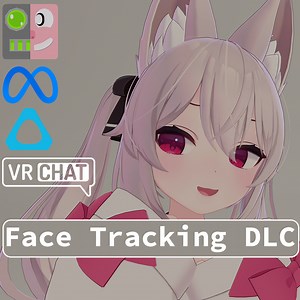 Karin Face Tracking DLC