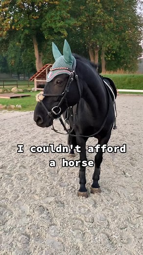 Cow Riding Adventures: Jumping, Tubing, and More! 🐮💛