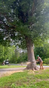 Dropping 2 huge oaks | Brittain's Tree and Crane Service
