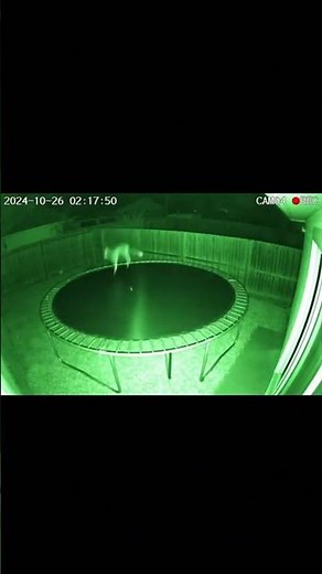 Fox Caught Jumping on Backyard Trampoline at Night