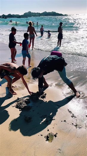 Sacando Pulgas de Mar en la Playa