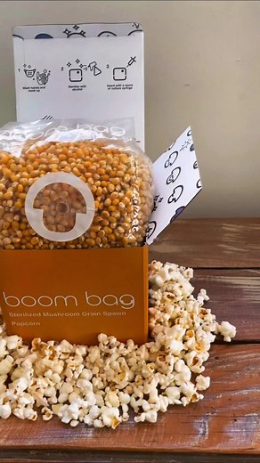 #howto inoculate your grain spawn with #mushroomspores 💉🍿🍄 #mycology #mushroom #fungi #monotub #natureathome #science