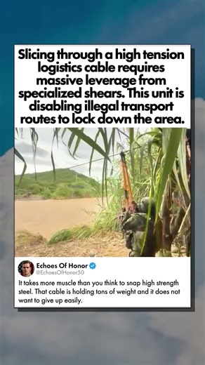 SNAPPING STEEL TRANSPORT LINES