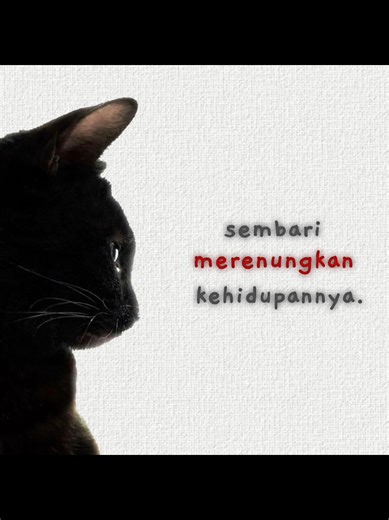 plot halu: the fracture #alightmotion #droomp #editing #fyp #foryoupage