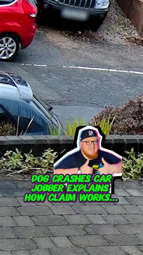 Dog crashes car - jobber explains how the claim works #carcrash #carwreck #caughtoncamera #driving #crash #collision #smashedcar #dashcam Credit SWNS | BigJobber