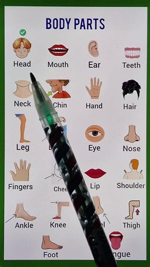 📚 Do you want to learn English fast and easily? You're in the right place! 💪 Watch my short lessons every week and improve your English step by step. Join our community of learners today and start speaking confidently! 🌍✨ Don’t forget to follow for more exclusive lessons 🔥 #learnenglish #englishforyou #englishlesson #englishteacher #englishlearning