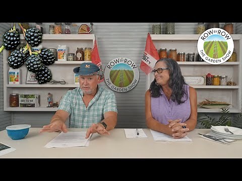 Growing Blackberries at Home! Which Variety is Best?