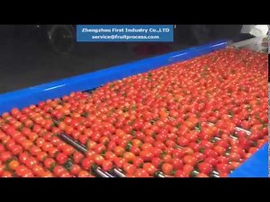 cherry tomato sorting machine，grape tomato grader, basil grading machine