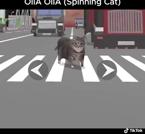 Spinning Cat: The Funniest Cat Meme Game