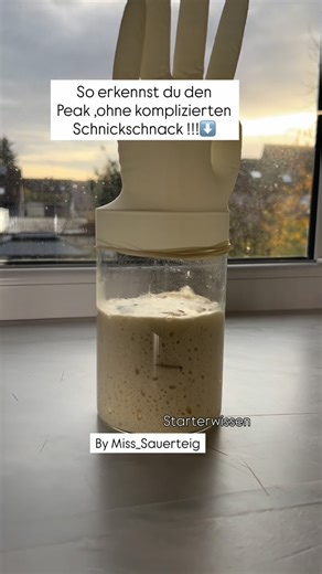 Nadja — deine Sauerteig-Mentorin on Instagram: "Der Handschuh-Trick – mein Lieblingshack für alle Starter-Anfänger Kennt ihr das? Ihr füttert euren Starter und fragt euch: „Bist du jetzt auf dem Peak oder willst du nur so aussehen?“ 😂 Mein Tipp für alle, die’s easy wollen: Die Handschuh-Methode. Einfach nach dem Füttern einen Einmalhandschuh aufs Glas setzen… und warten, bis er euch ein kleines High Five gibt. Wenn der Handschuh steht → Starter bereit → ab in den Teig. 💥 Warum bläst sich der H