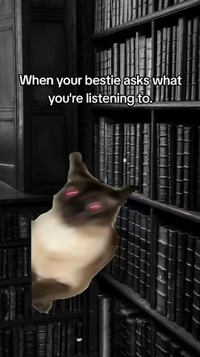 redladybug4 on TikTok