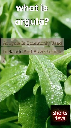 what is arugula?#shorts#shortsfeed