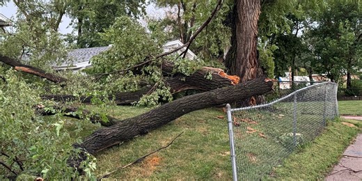 EXPLAINER: Which neighbor is responsible for tree damage that crosses property line?