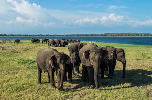 18 ways to adventure through Sri Lanka