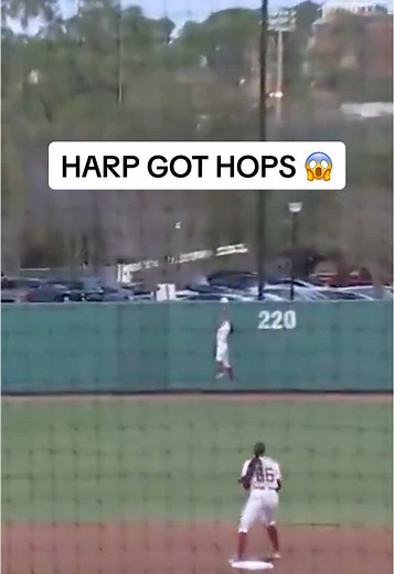 Impressive Softball Catch in Center Field