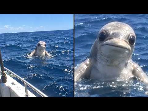 Scary Things Sailors Filmed Hundreds of Miles From Land - Part 2