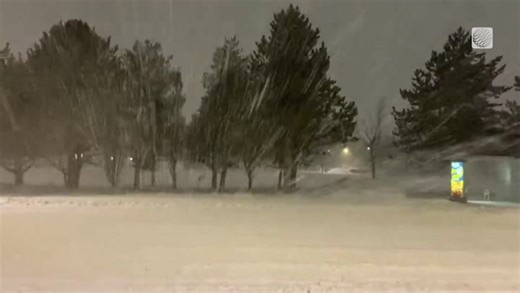 Snow falls & blankets this St. John's, NL street