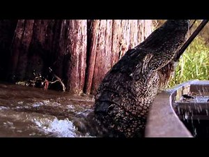 Swamp People - New Season Trailer