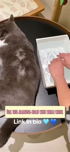 Bop Productions on TikTok