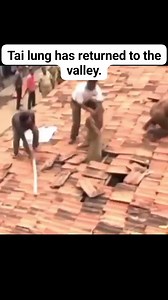 It looks more like the people are attacking the leopard. #leopard #wildlife #leopardprint #nature #animals #wildlifephotography #bigcats | Nsibidi