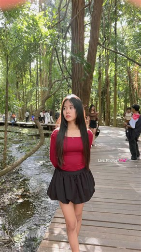 Understanding Draft Moots in Legal Settings