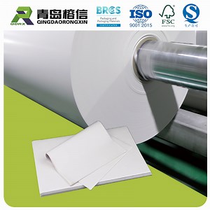 [Hot Item] Largest Poly Coated Paper Manufacturers in China