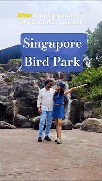 Visiting the largest bird park | Singapore bird paradise |