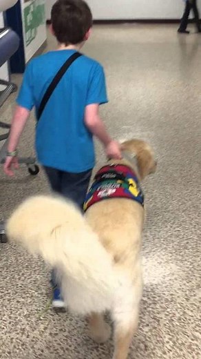 Autism Dog in School