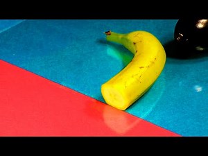 Hidden Patterns Inside Fruits, Vegetables and Mushrooms stop-motion 87